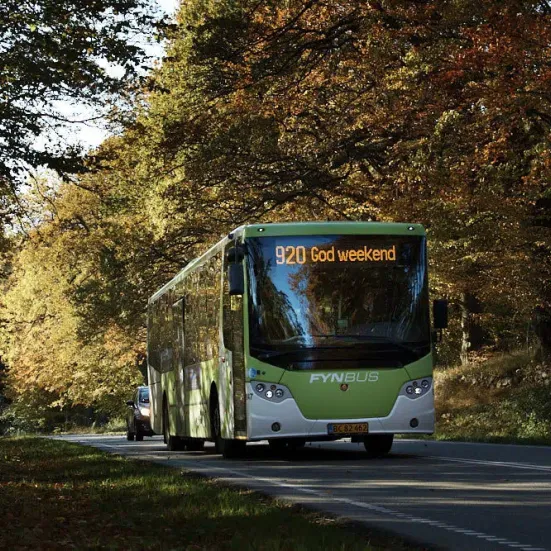 bus kører igennem skov.