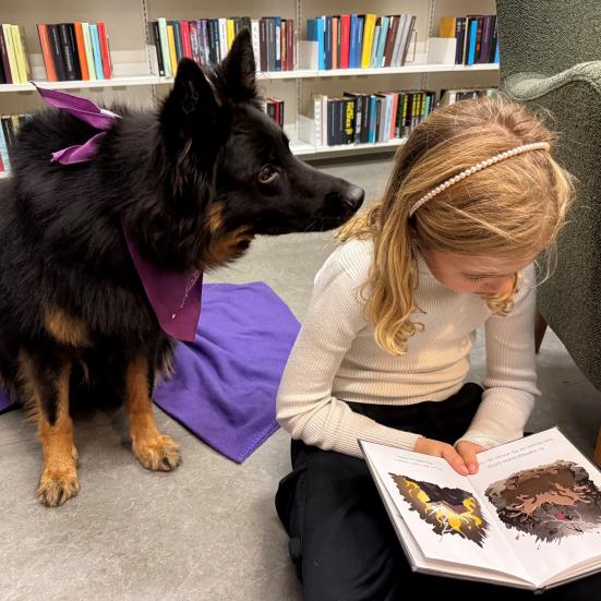 Læsehunden Zira lytter til et barns oplæsning på Ullerslev Bibliotek.