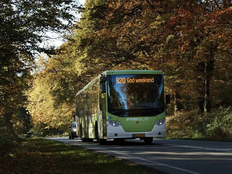 bus kører igennem skov.