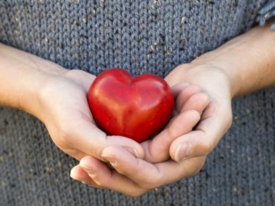 Hænder holder et rødt hjerte.