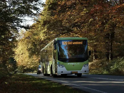 bus kører igennem skov.