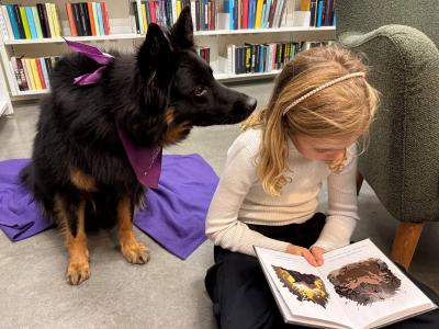 Læsehunden Zira lytter til et barns oplæsning på Ullerslev Bibliotek.