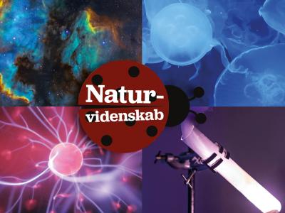 Et mariehønelogo med teksten "Naturvidenskab" foran en baggrund af naturvidenskabelige billeder.