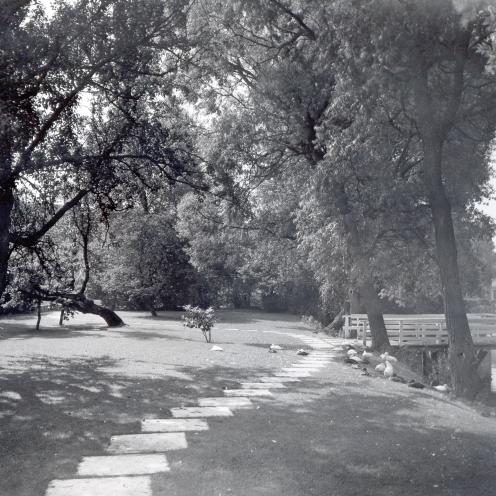 Haven bag biblioteket.
