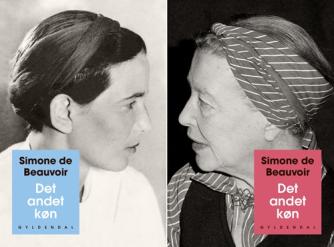 Simone de Beauvoir: Det andet køn. Bind 2, Erfaringer og oplevelser