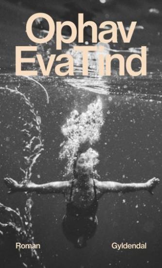 Eva Tind: Ophav : roman