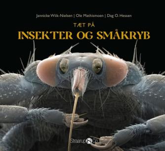 Dag O. Hessen, Ole Mathismoen, Jannicke Wiik-Nielsen: Tæt på insekter og småkryb